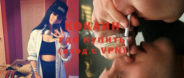 дживик Каменногорск