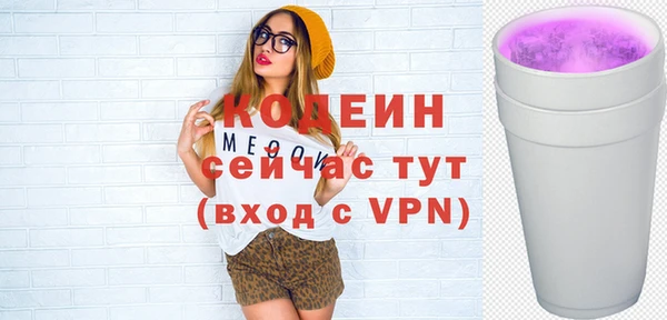 сатива Каменка