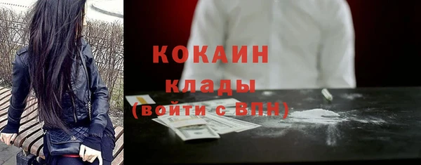 мяу мяу мука Инсар