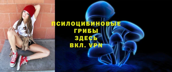 спиды Инта