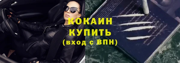мяу мяу мука Инсар