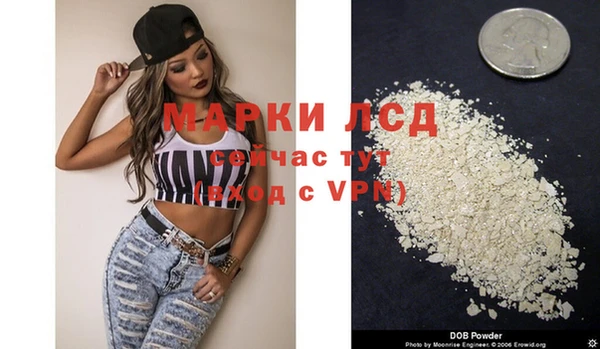 мяу мяу мука Инсар